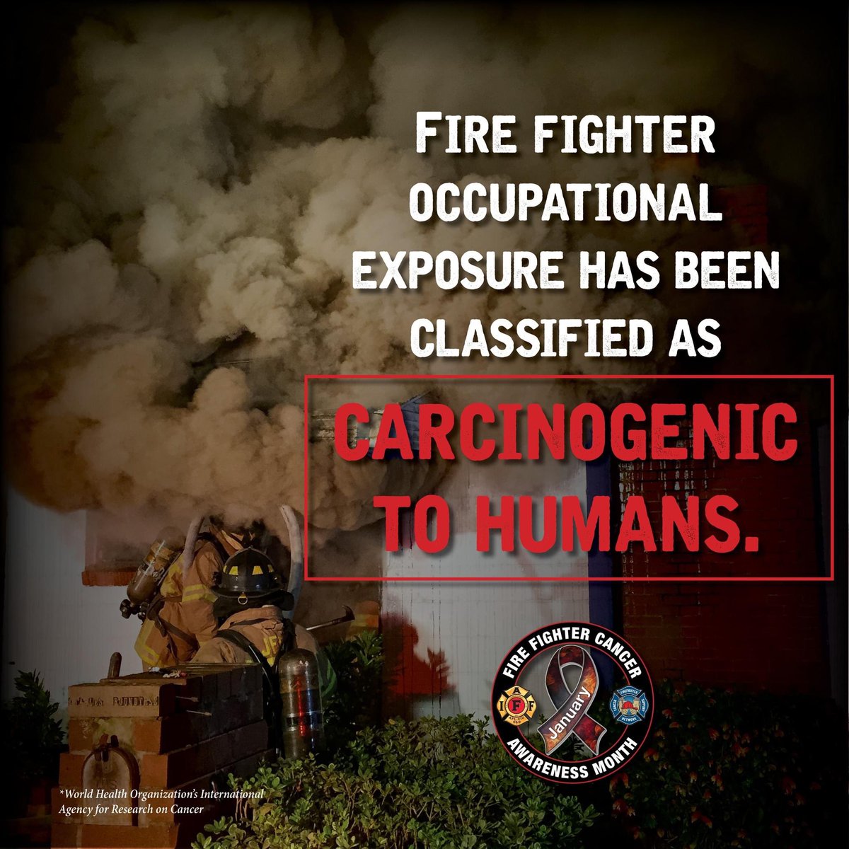 iafflocal465's tweet photo. The International Agency for Research on Cancer (IARC), an agency of the World Health Organization (WHO), classified FF occupational exposure as a group 1 carcinogen, as there is sufficient evidence for cancer in humans.  #FFCancerMonth #ExtinguishCancer @OshawaFire @oshawacity https://t.co/inFPrJ1T5H