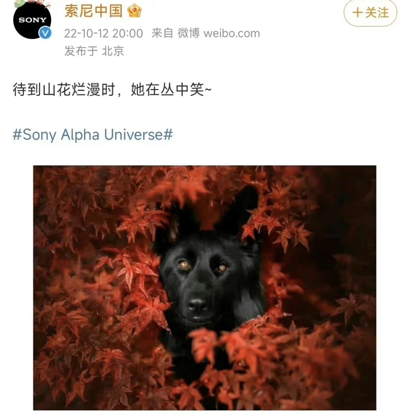 skyflywings's tweet photo. @klwmskl @whyyoutouzhele 台媒说是这个啊 https://t.co/LDskzXbgkp