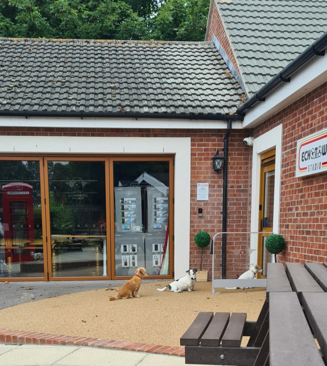 Echotown_Studio's tweet photo. It's the New Year and we have queues forming already, rumour has it they're re-recording 'Who Let The Dogs Out' 🤣 get in touch and be next in line! 

#jackrussellofinstagram #recordingstudio #wholetthedogsout #dorset #music https://t.co/BC0NguRSMs