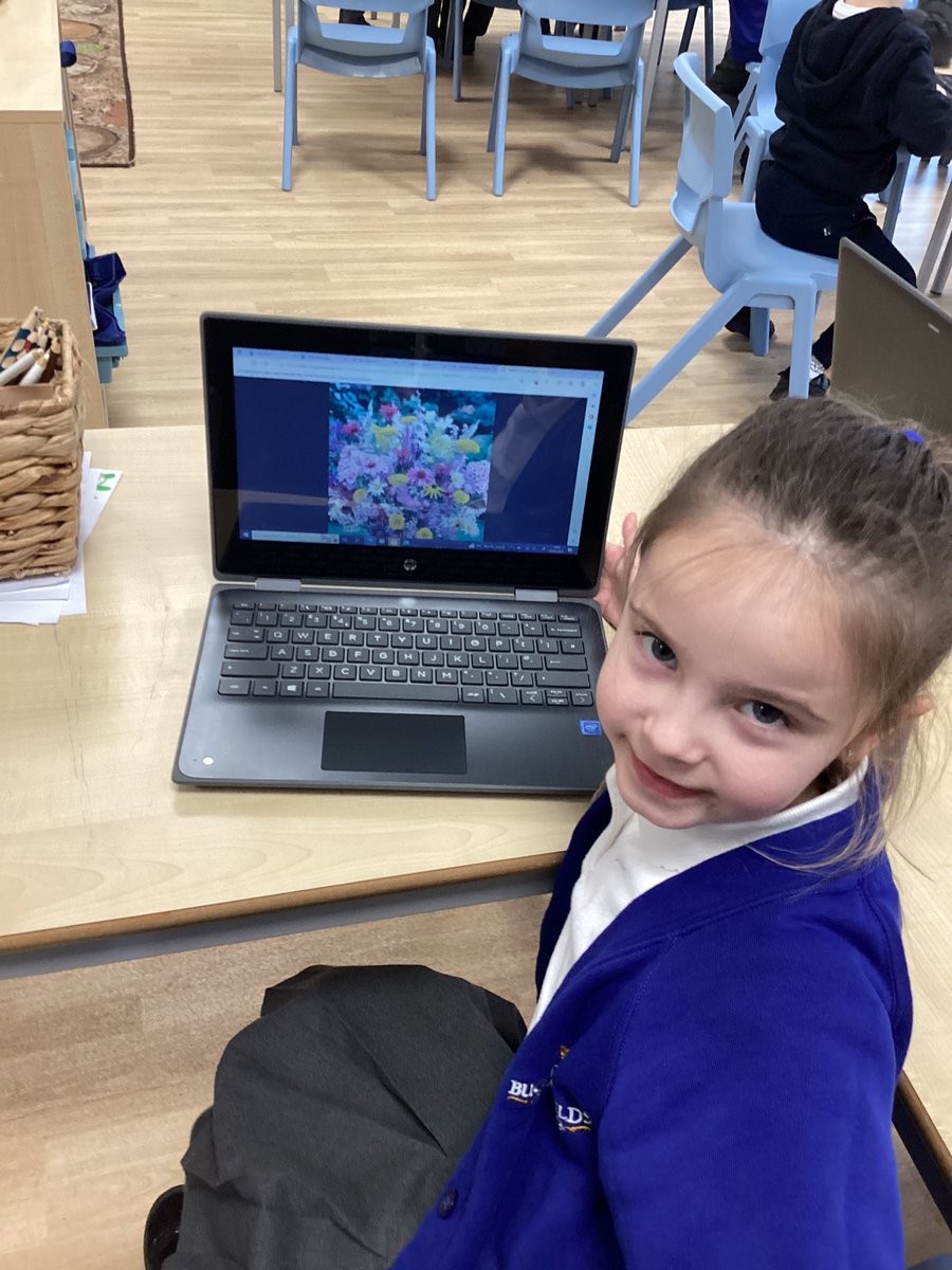 BucktonFields's tweet photo. Our new topic is ‘Growing Wild’ in Year 1! We have been exploring different plants in ICT🪴🌷🪷 https://t.co/AkvNrOVIPn