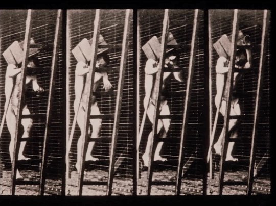 CineEvasion's tweet photo. Eadweard Muybridge, Zoopraxographer (1975)
Dir. Thom Andersen
#EadweardMuybridge
#Zoopraxographer
#ThomAndersen https://t.co/t6XMHGKpKh