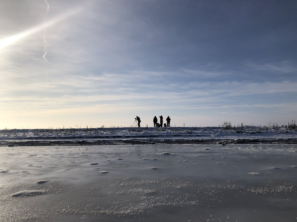 succow_stiftung's tweet photo. Zum Jahresende wurden unsere Bundesfreiwilligen der #InselKoos vom kalten Winter belohnt. Kooser See, Beek & Bodden waren zugefroren und die monatliche #Wasservogelzählung konnte aus einem neuen #Blickwinkel erfolgen.❄️ https://t.co/wyFdGjOn28 ❄️ https://t.co/xpx1hoVTi4