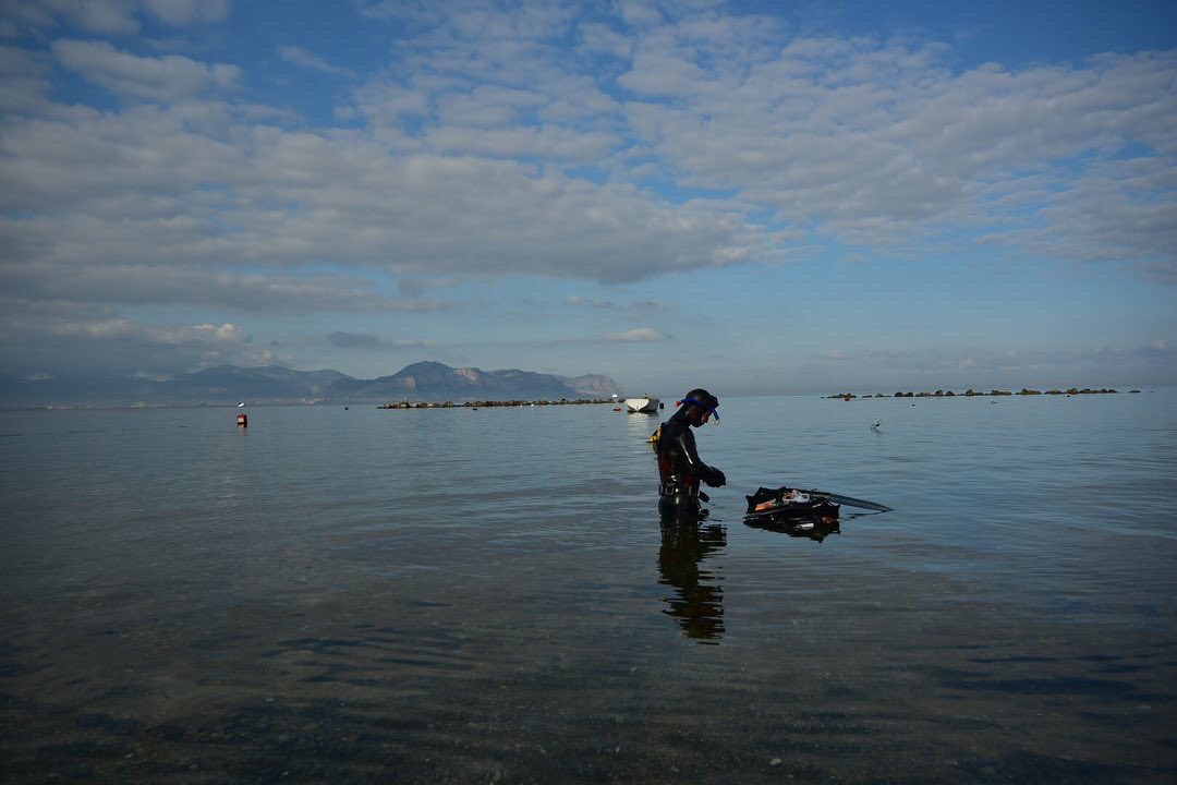 FrancescoPaladi's tweet photo. #palermo #gennaio #photooftheday #photography #landscapephotography #landscape #sea #sub #mare #sicily #baaria #bagheria https://t.co/V8leU3EDAB