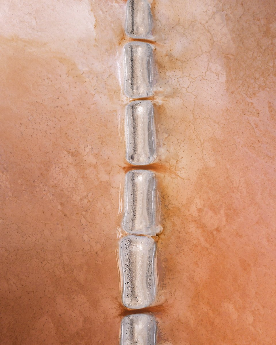 lolahubner_'s tweet image. Things I found in salt lakes ✨ Gm