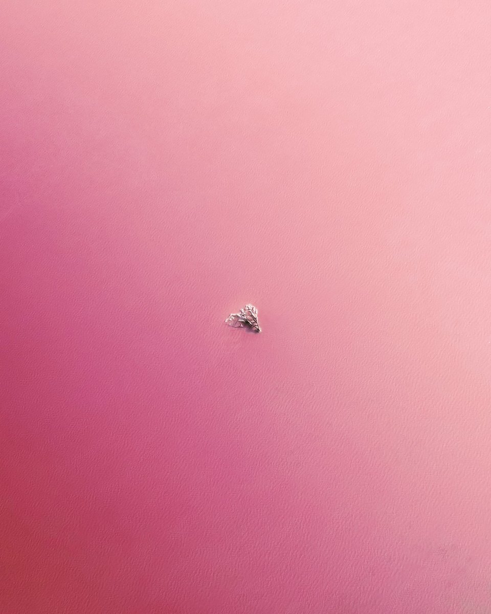 lolahubner_'s tweet image. Things I found in salt lakes ✨ Gm