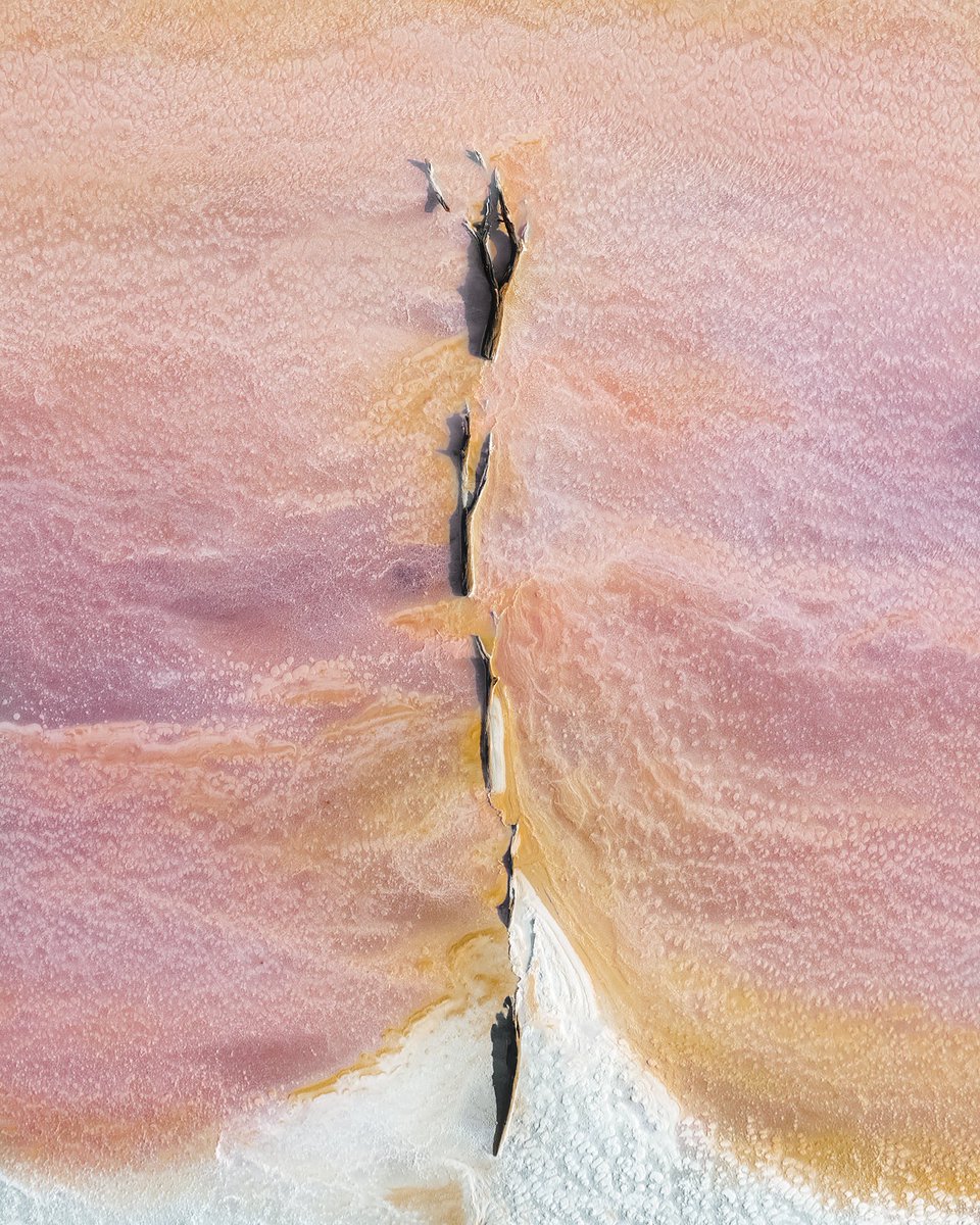 lolahubner_'s tweet image. Things I found in salt lakes ✨ Gm