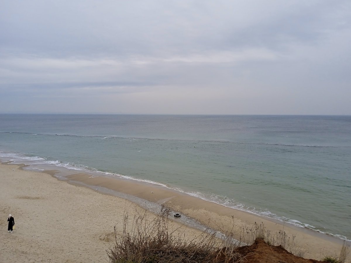 Немного Одесской зимы в ленту)