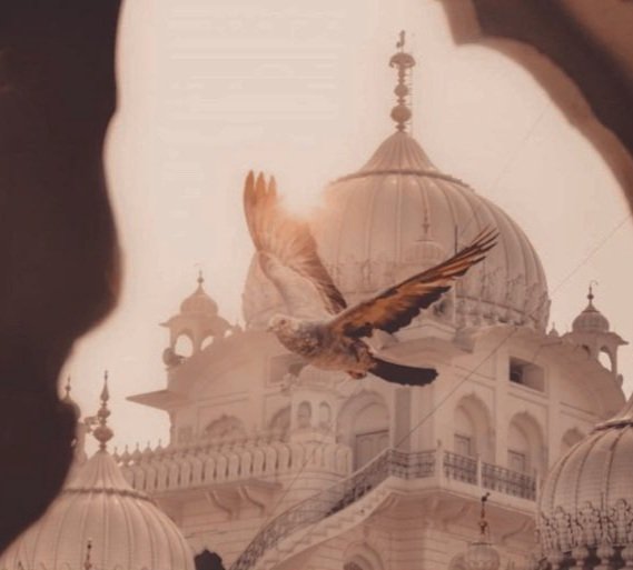 DO YOUR BEST AND LET GOD DO THE REST .....

#DigitalMarketing #digitalmarketingtips #DigitalMarketingServices #digitalmarketingagency #digitalmarket