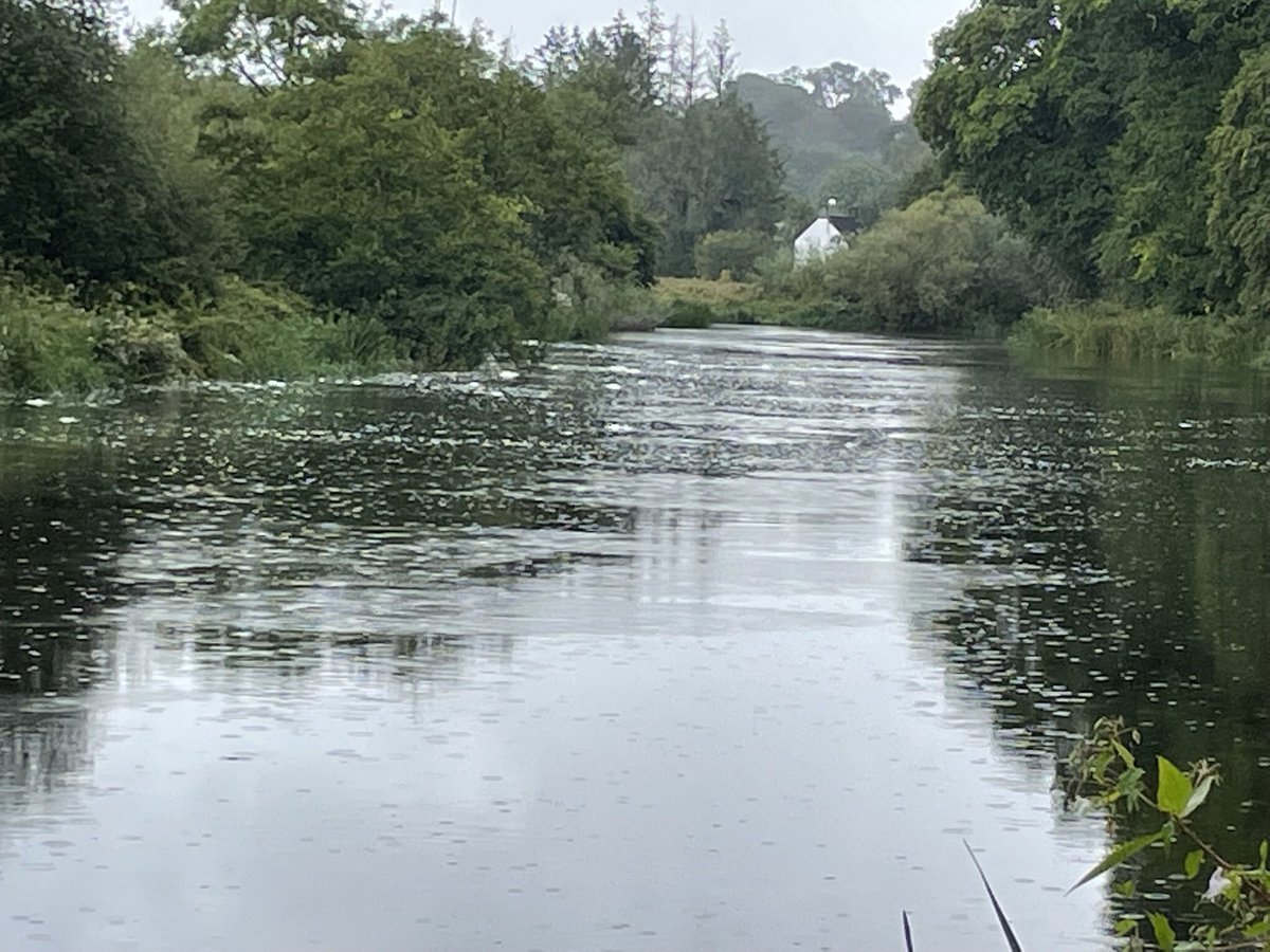 Jacqui07108033's tweet photo. #100daysofwalking #round3club #cardiacrecovery
Days 3 and 4 went walking by the Barrow in Clashganny and in oak park woods Carlow. Both days overcast but dry. It’s great to be back out again happy days https://t.co/tpKmCsVm7B