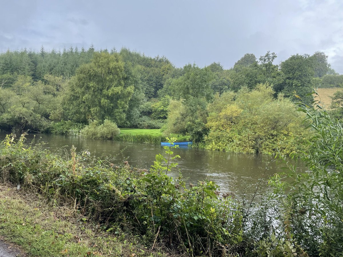 Jacqui07108033's tweet photo. #100daysofwalking #round3club #cardiacrecovery
Days 3 and 4 went walking by the Barrow in Clashganny and in oak park woods Carlow. Both days overcast but dry. It’s great to be back out again happy days https://t.co/tpKmCsVm7B
