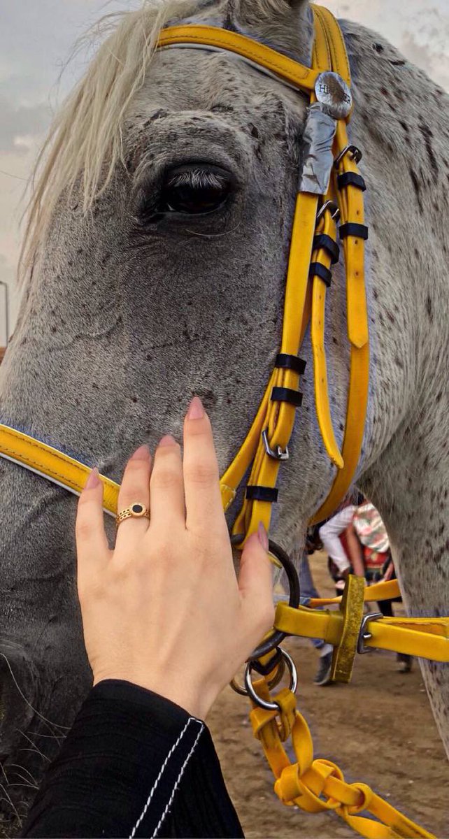 طبعي كذا من فضل رب العالمين
قناعتي .. تفرض علىّ حقوقها

لو ارسم البسمة على وجه الحزين
كني ملكت الارض " واللي فوقها " .

#شموخ_حرب
#الخميس_الونيس