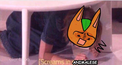 my favorite and only shit post  tangy from animal crossing  