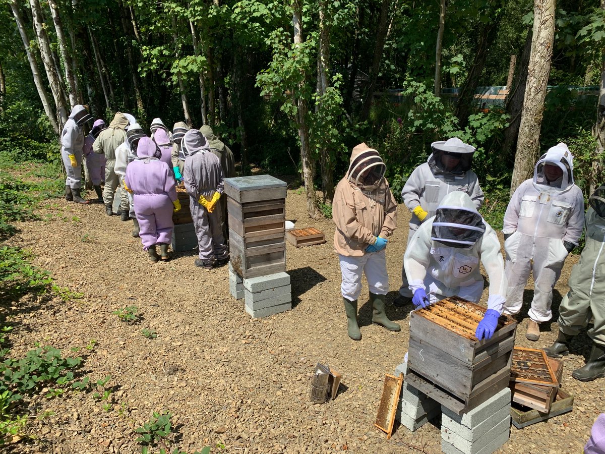 The National Bee Units regional reports are now available on BeeBase. Find out more about the 2022 beekeeping season in your area here nationalbeeunit.com/index.cfm?page…