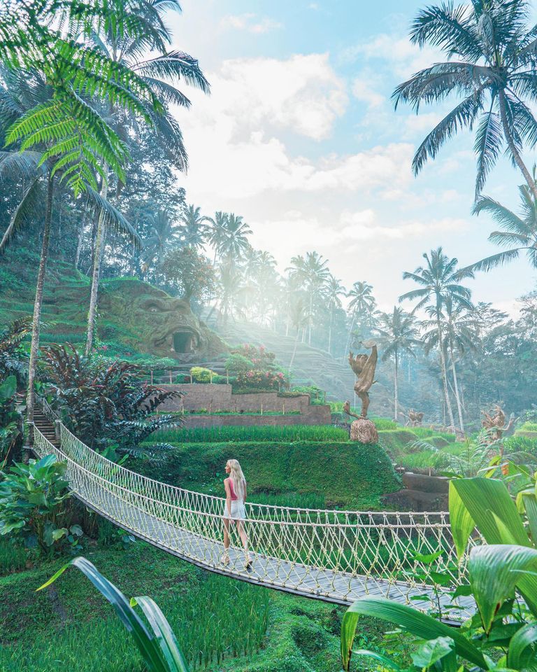 GoHotelsGo's tweet photo. Alas Harum Bali 鞦韆 是位於一個受歡迎的農業旅遊目的地 Jl. Lunga Tegallalang，距離烏布市中心約20分鐘。從巴厘島特蘭斯度假村 (The Trans Resort Bali)出發約1小時到達

📷@Alas Harum Bali 

巴厘島酒店推介: 巴厘島特蘭斯度假村(The Trans Resort Bali) 
官網: https://t.co/NTCIL6K8Li https://t.co/vPTNKNa8PD