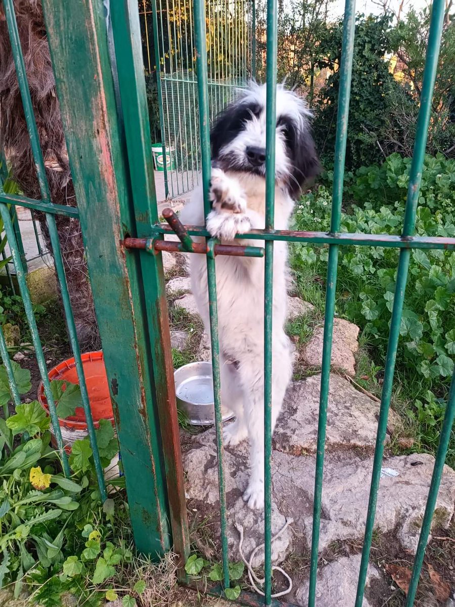 facebook.com/10001215100840…