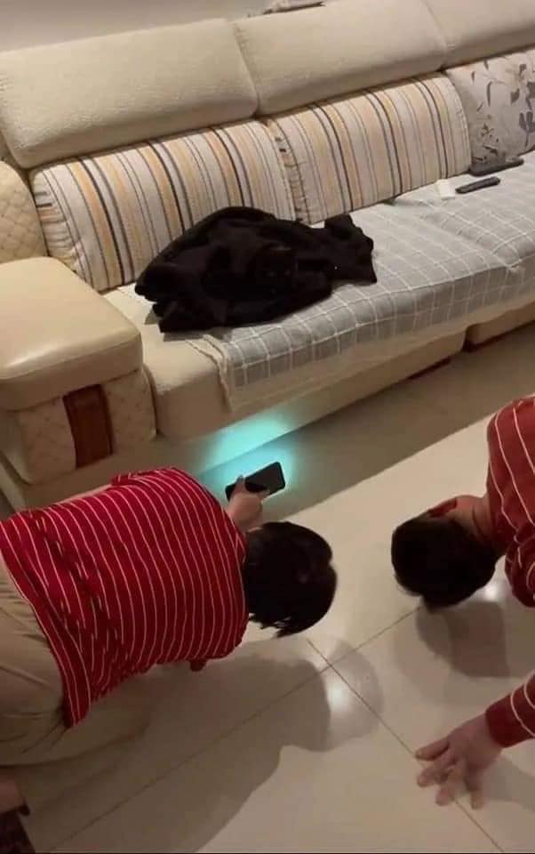 Take_Meow_Hand's tweet photo. Stupid hooman 😒😒😒 https://t.co/3YDfxzL53O