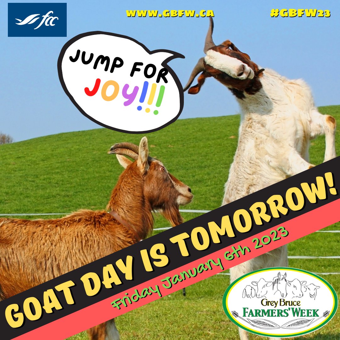 #GBFW23 #conference takes place this week. Tomorrow is #Goat Day. Join us at the Elmwood Community Centre or via #livestreaming. Go to gbfw.ca for info and to purchase tickets.
#OntAg #Farm365 <a href="/OntarioGoat/">Ontario Goat</a>