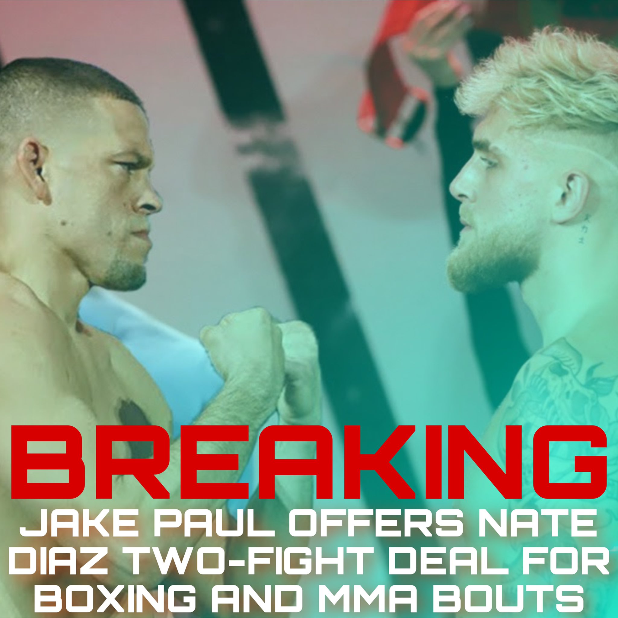 Nate Diaz Interview - gia6oxd