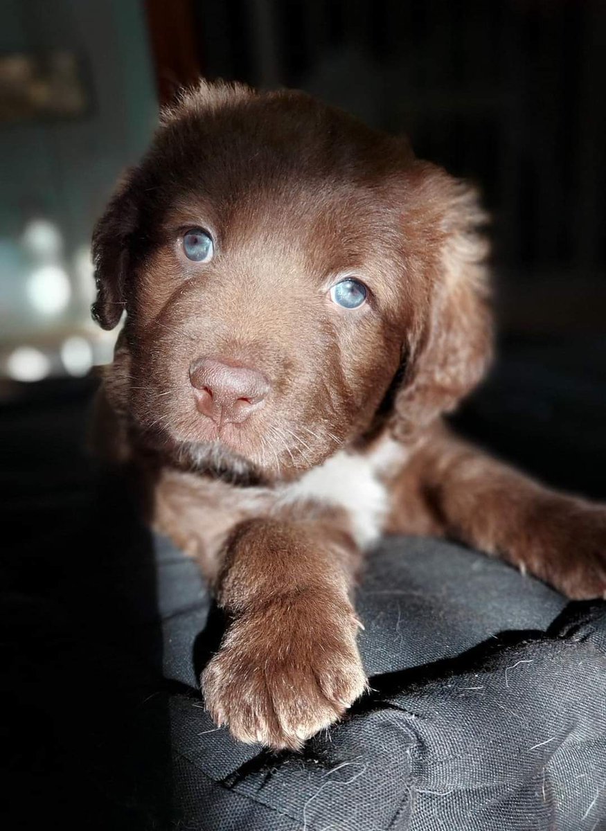 facebook.com/13790187456658…