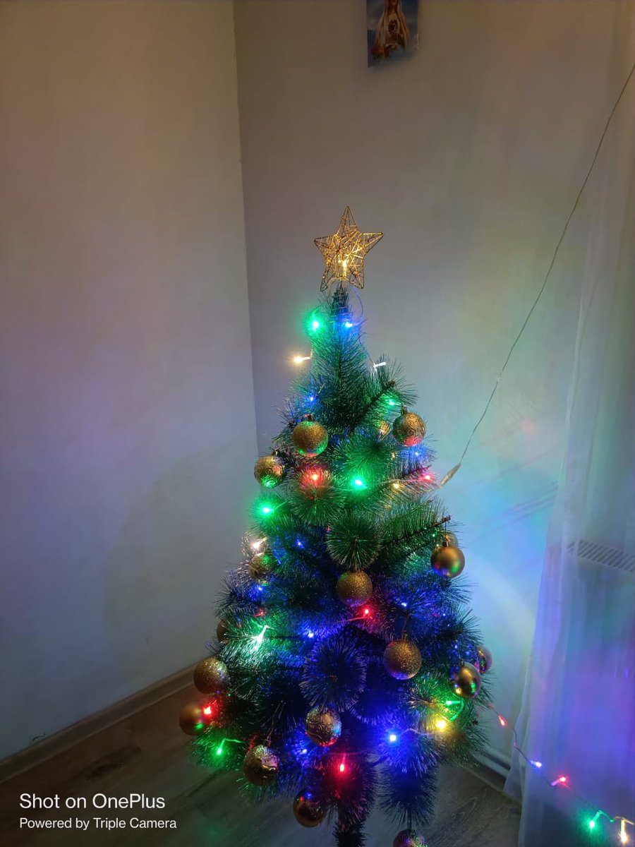 Poncian8's tweet photo. @TaylorRMarshall It's Christmas until Feb 2 https://t.co/wGEH0d1o3s