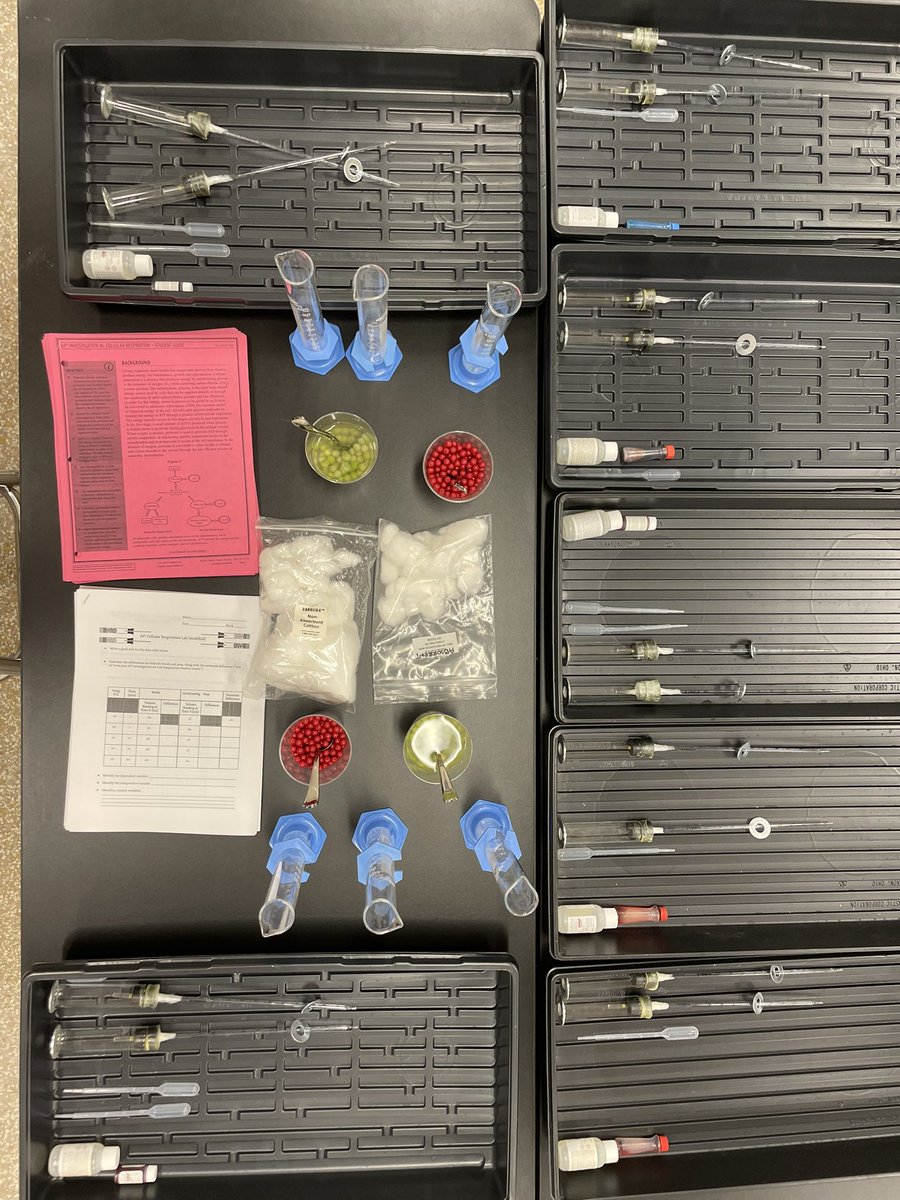 Hey AP Bio, it’s a lab day! 🥼🥽🧪<a href="/OkladekBIO/">Mrs. Okladek</a> <a href="/WHRHighSchool/">Warren Hills HS</a>