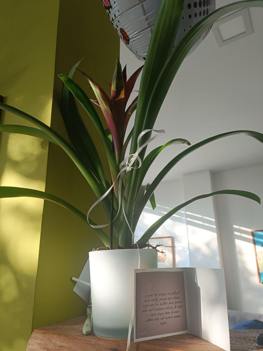 TovitNeizer's tweet photo. You don't need a budget. You need good words.

Thanks @ShirKi for the vote of confidence, warm words (and beautiful gift)!

Having a strong board next to me puts fuel in my engine.

BTW, no #chatgpt was involved in the card or this post :)

@AuCoDe

#motivation #words https://t.co/j1yN6Ro6sh