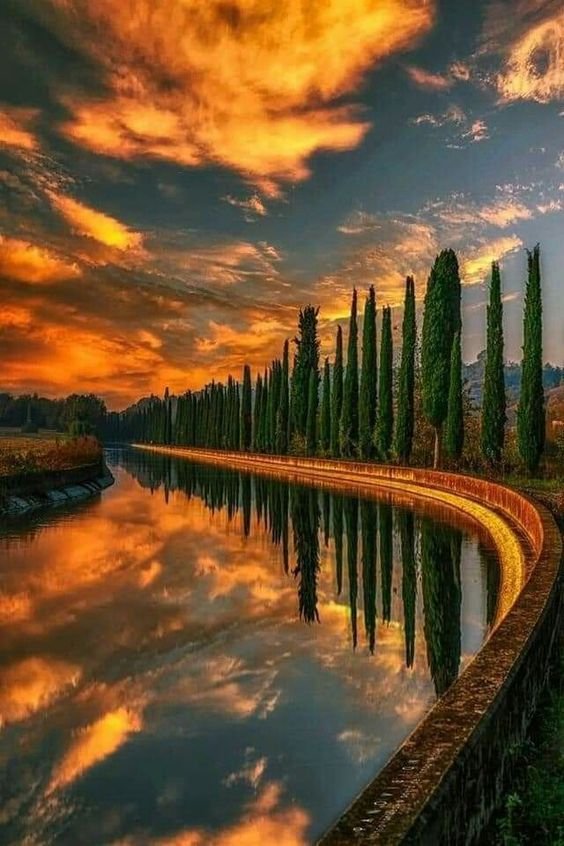 د.عبود المهنا tweet media