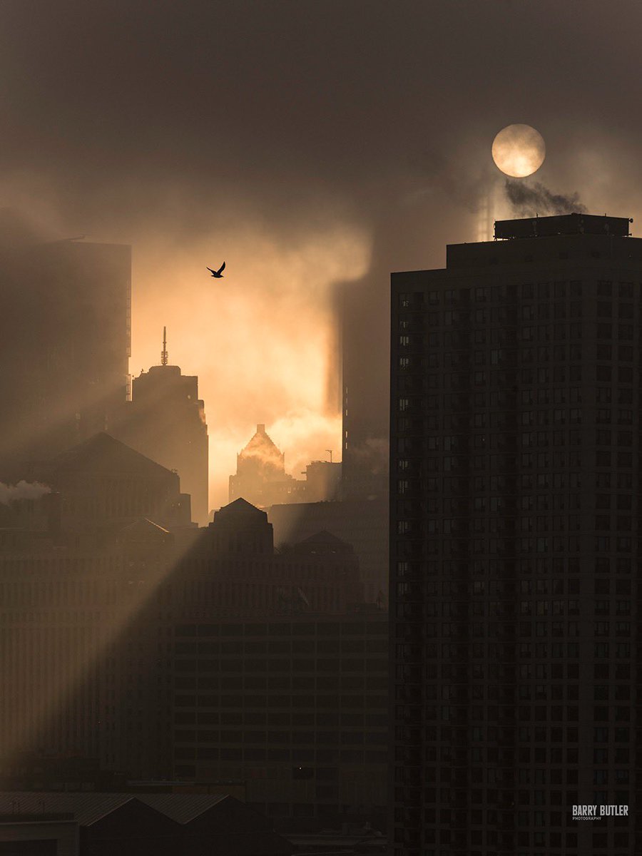 Barry Butler Photography tweet media