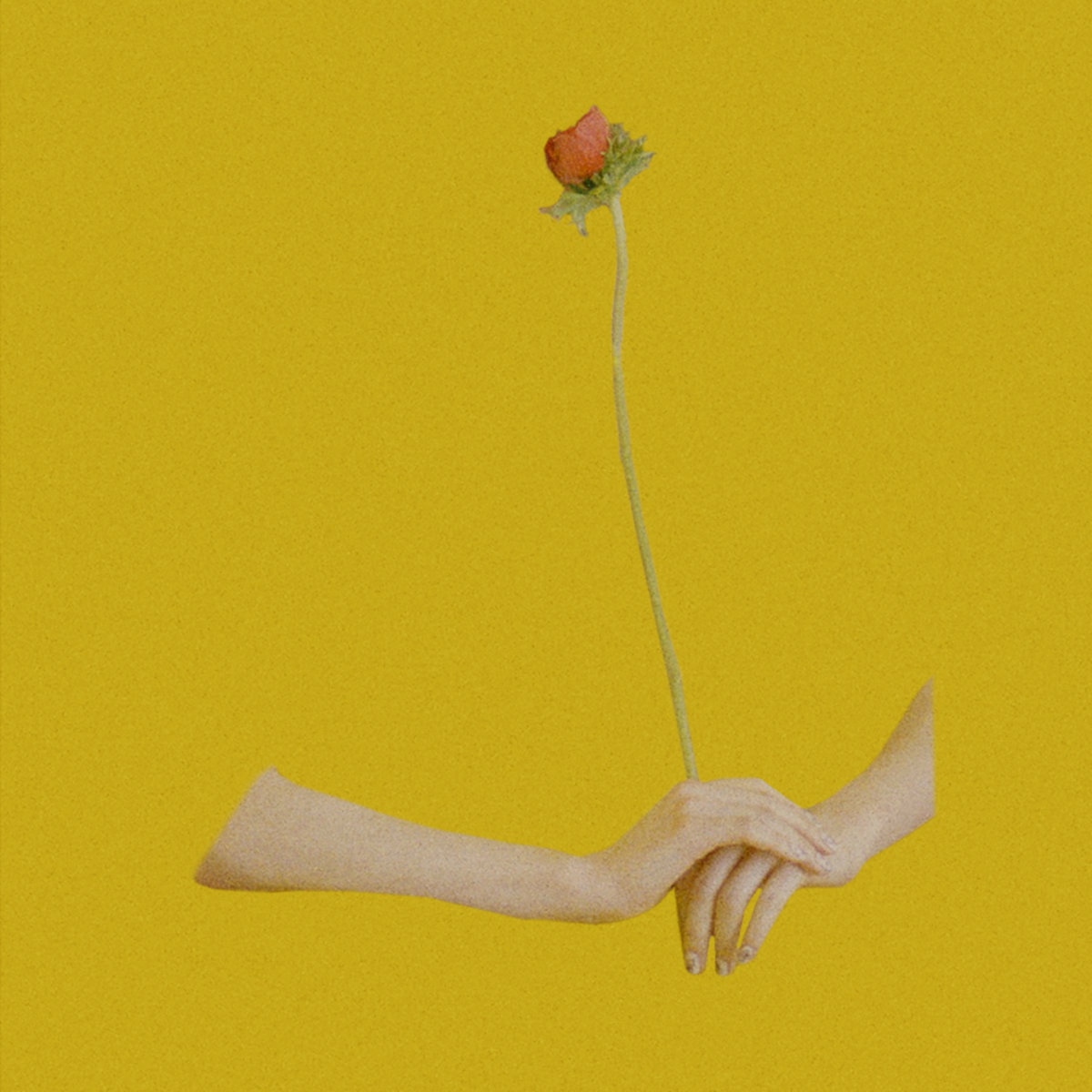 Djmaclure's tweet photo. Starting off a long work day with a cup off coffee and I have some time to listen to Atmos Bloom's Flora album before heading into the shop. #atmosbloom #shoegaze https://t.co/Tw5enE4hjW