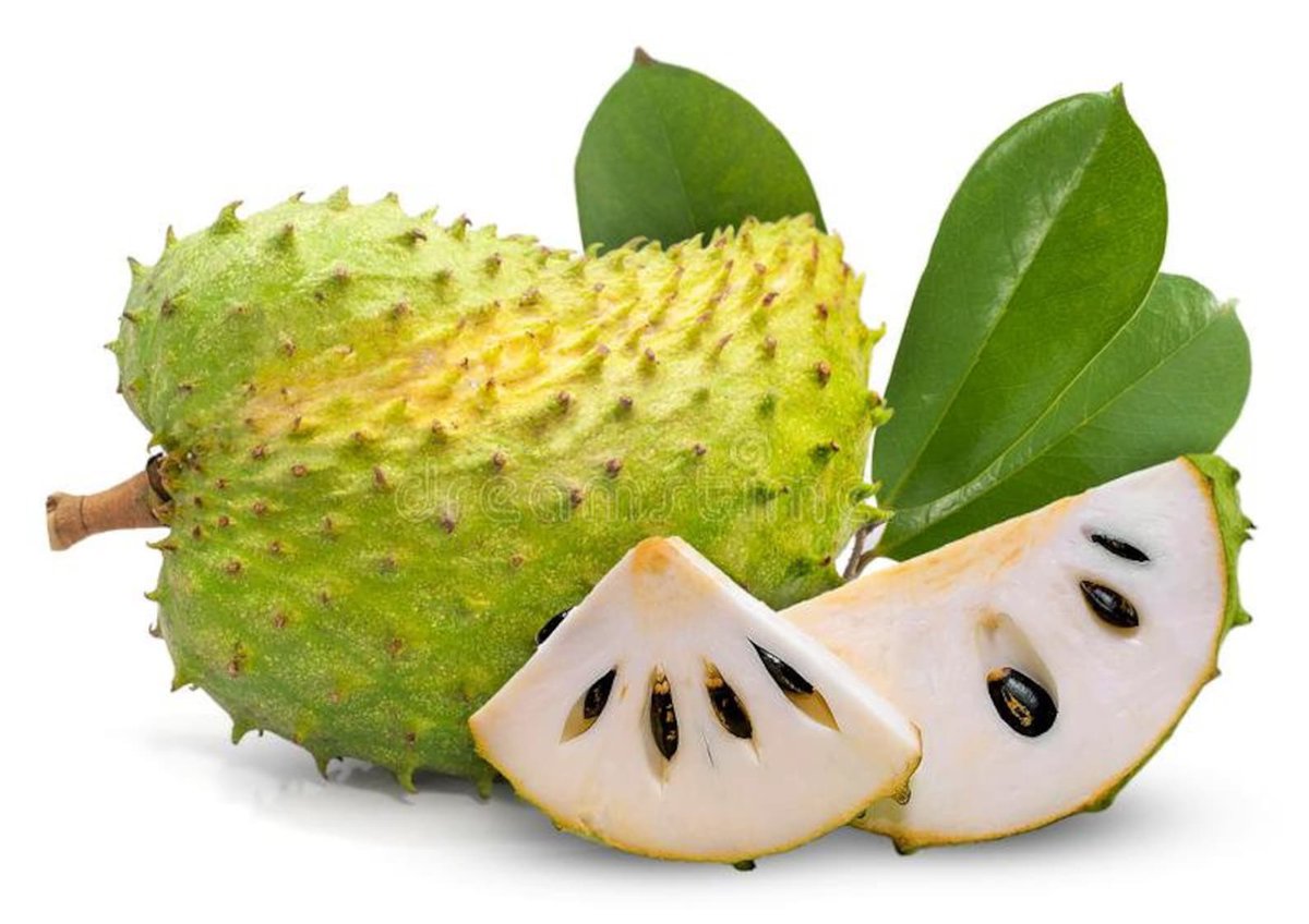 Cancer used to be a fairly western disease. Today, the rate at which our people die from cancer in Africa, especially NIGERIA is beyond alarming! Soursop 👇🏾 is proven to boost you against cancer like no other fruit. Eat as much as you can, please! #FruitoftheDay