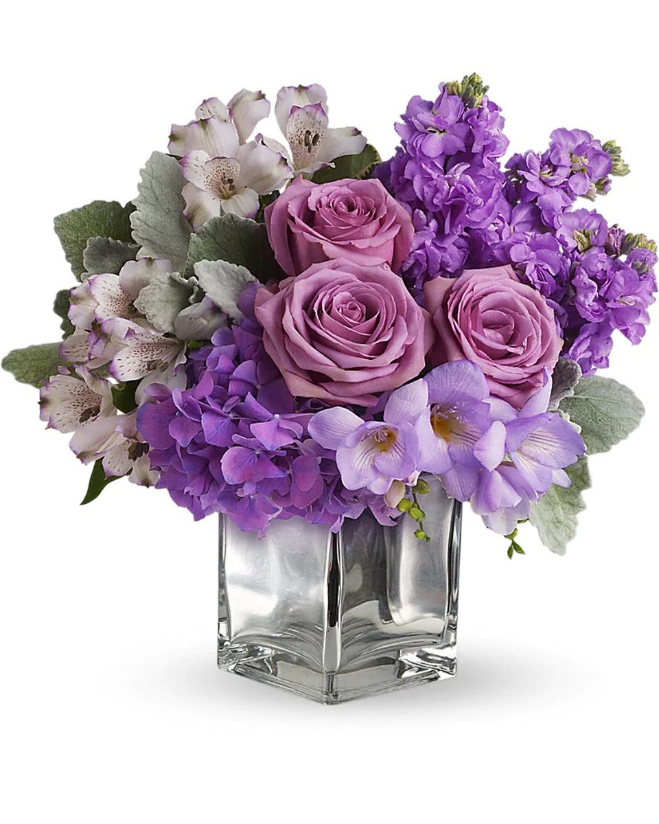 springgardenfs's tweet photo. A bouquet sure to brighten any day, Sweet as Sugar is stunning in its varying shades of lovely lavender, featuring #hydrangea, #roses, #alstroemeria, and more!

#flowersmakeushappy #florist #springgardenflowershop #sanantonio #sendhappiness #freshflowers  https://t.co/mOe0hrRI2Y https://t.co/2JDHD6aZUX
