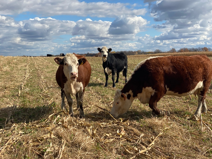 Million Acre Challenge tweet media