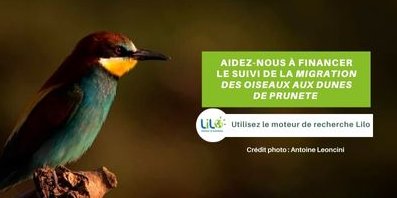 d_corse's tweet photo. Nos recherches ont du pouvoir 🤩💪 Sauvons les oiseaux migrateurs !
1 recherche Internet 💻📱 = 1 goutte d’eau 💧. 
Plus vous ferez de recherches via LILO, plus vous aurez de gouttes 💧 à donner.
#oiseaux #biodiversité #corse #cervione #zonehumide #protection #oiseauxmigrateurs https://t.co/nq28YjRItZ