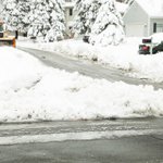 Photo by City of Maplewood (@MaplewoodMN)