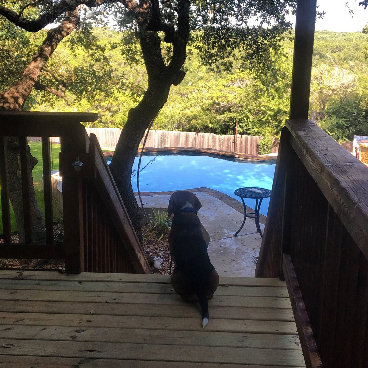 TheBoomerBeagle's tweet photo. Some things don’t change. 
Just the pup enjoying them. https://t.co/PtJ2C74ufg