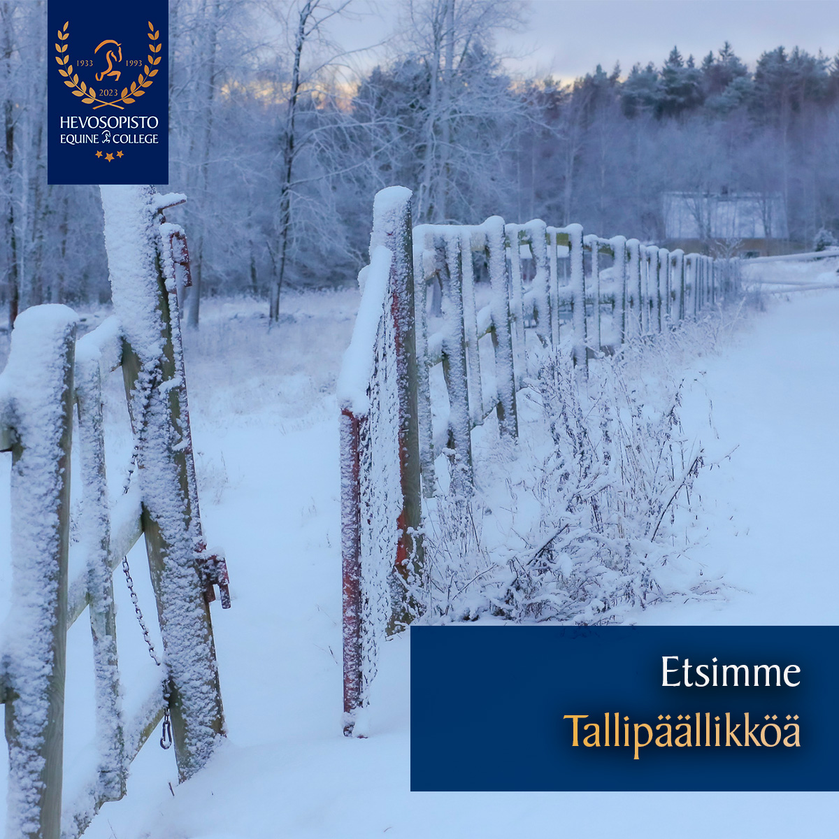 Johtaisiko tämä portti Sinun uudelle uralle! 
Etsimme yhä kehittyvään organisaatioomme vahvan liiketoiminnallisen otteen omaavaa tallipäällikköä toistaiseksi voimassa olevaan työsuhteeseen.

Lue lisää ja hae tehtävään viimeistään 27.1.2023 mennessä.
hevosopisto.fi/avoimet-tyopai…