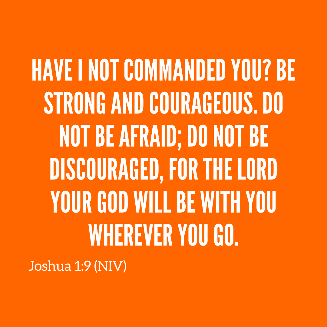 Vineyard N. Phoenix tweet media