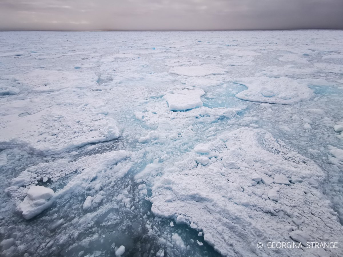 OceanwideExp's tweet photo. Svalbard has no shortage of incredible scenery like this. Join one of our trips to see it in person.
#packice
Picture by Georgina Strange. https://t.co/5WjtxcGXph