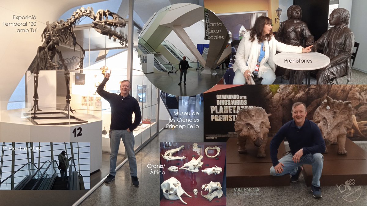 bfacta_com's tweet image. bf© PLEASURE: VALÈNCIA ARTS &amp;amp; CIÈNCIES . 07

The ‘Museu de les Ciències’ carries out work of great scientific rigor through entertainment for the visiting public and great audience success each year.

+ on this and other little stories at:   bernardofacta.com/about%c2%b7us/