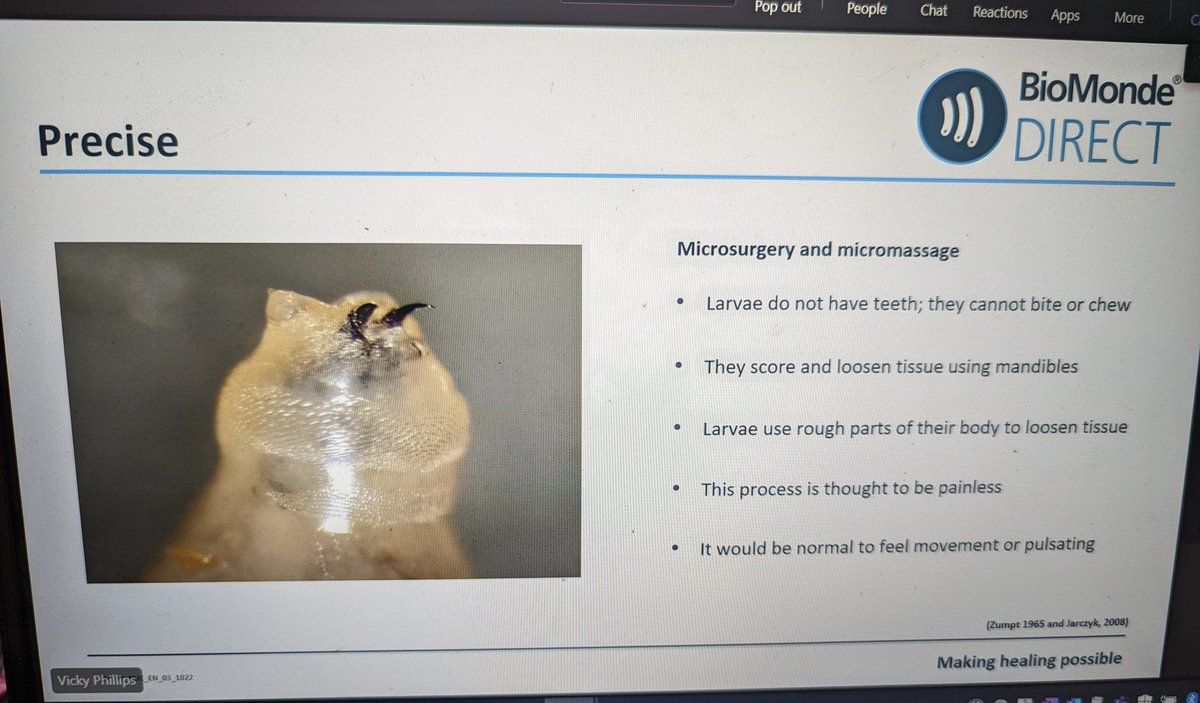 NHS Lothian Tissue Viability Team (@lothiantvn) on Twitter photo Our care home link practitioners are learning about using larvae to debride wounds with Vikki from <a href="/biomondeuk/">BioMonde | Larval Therapy</a> this afternoon. Have you used them before?
If you are a care home staff member and interested in wounds contact us to be added to our link network Our care home link practitioners are learning about using larvae to debride wounds with Vikki from <a href="/biomondeuk/">BioMonde | Larval Therapy</a> this afternoon. Have you used them before?
If you are a care home staff member and interested in wounds contact us to be added to our link network