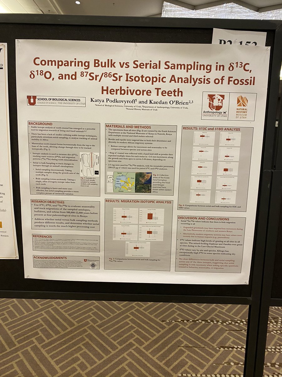 Can’t wait to present my first poster at #SICB2023 on isotopic analysis of fossil herbivore teeth! Special thanks to my UROP mentor for all your support as well as @uofuour, @UofUCMES, and @UofUGG 👩🏻‍🔬🦷
