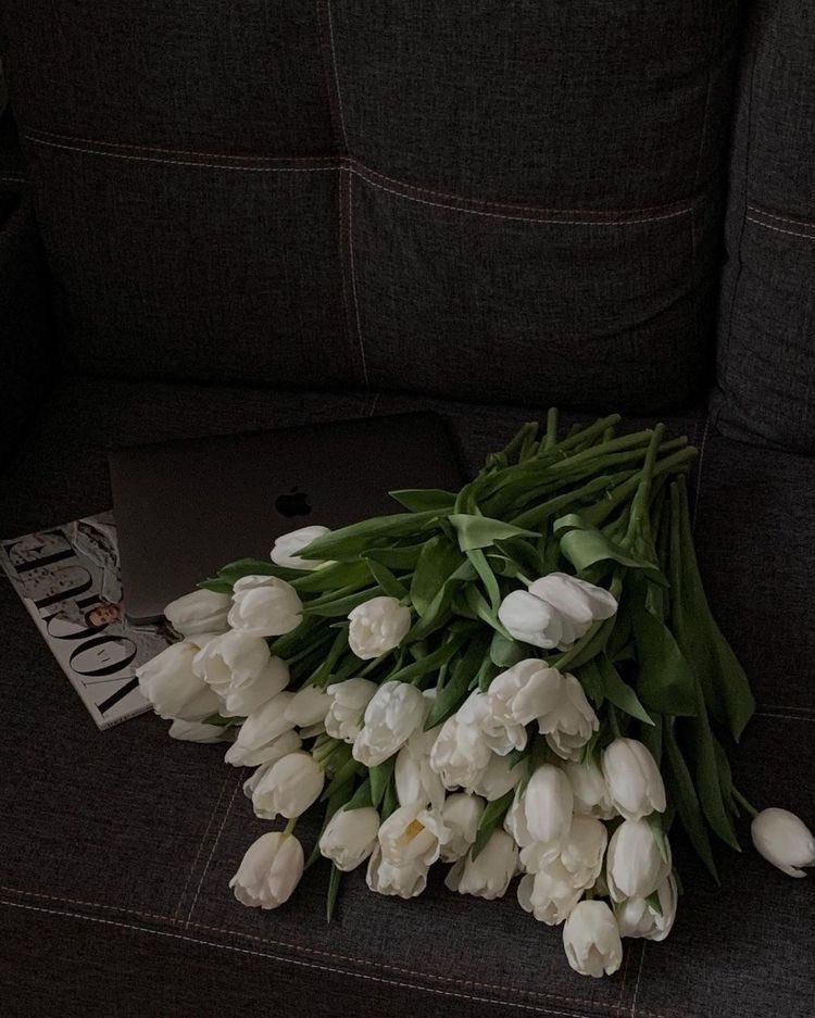 tulips