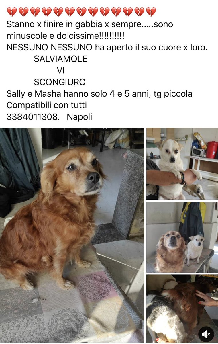 Twittate a manetta!!!