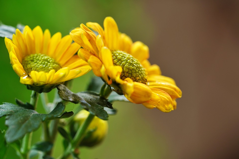 waika618's tweet image. That is both exciting and daunting to.

Click for more bsapp.ai/kjkZLW2MT

#welcome #videophone #video #sharing #free #strawberry #cameraphone #upload #blue