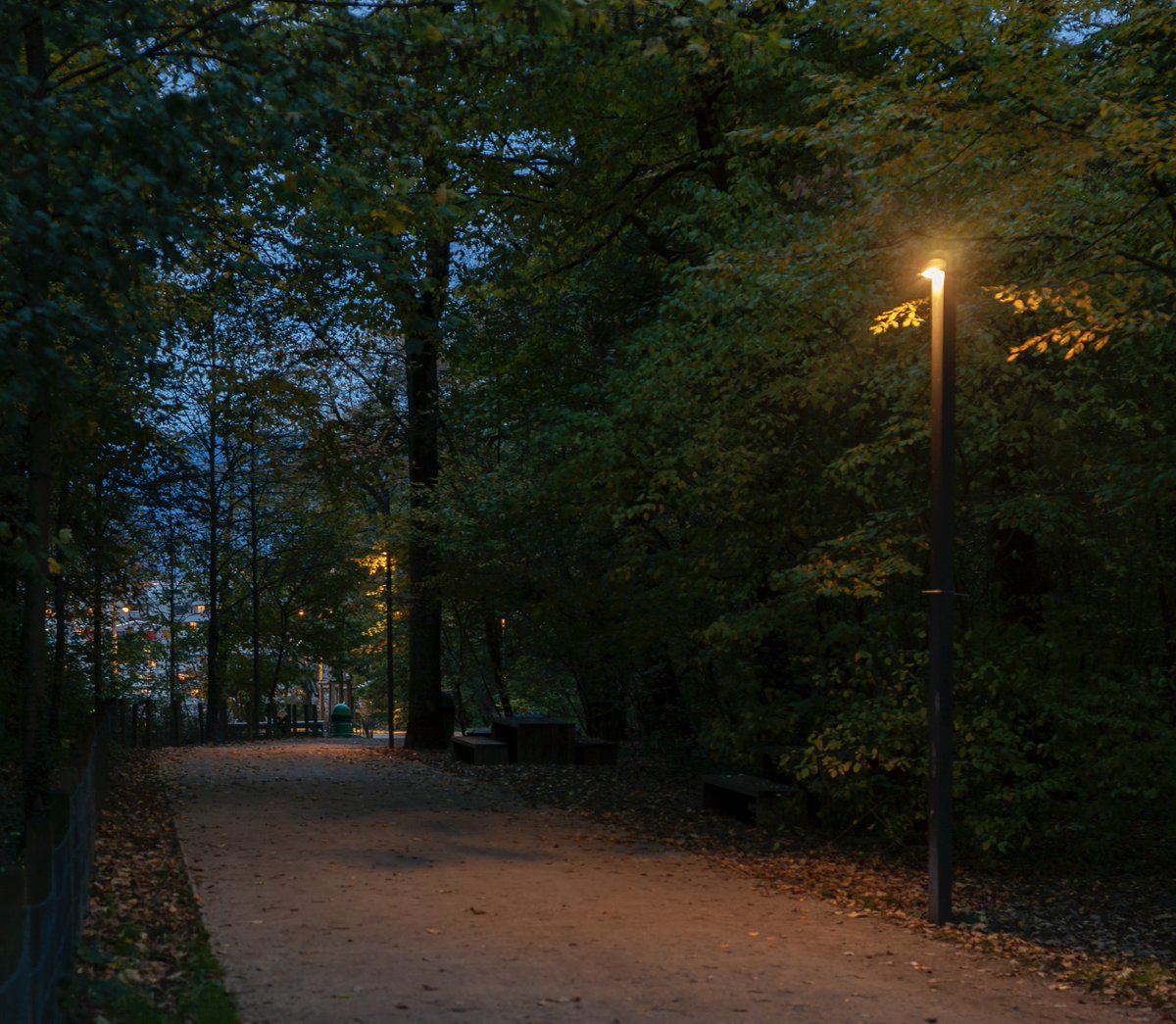 lea_lighting's tweet photo. Nous vous souhaitons une belle année et nous comptons sur 2023 pour conforter notre collaboration et relever de nouveaux challenges ensemble.

BOIS DE LA BÂTIE - GENÈVE
Conception lumière : Joseph Frey
©LEA

👉Retrouvez-nous sur https://t.co/HNTHFjm4oY https://t.co/mjEpWKCrDG
