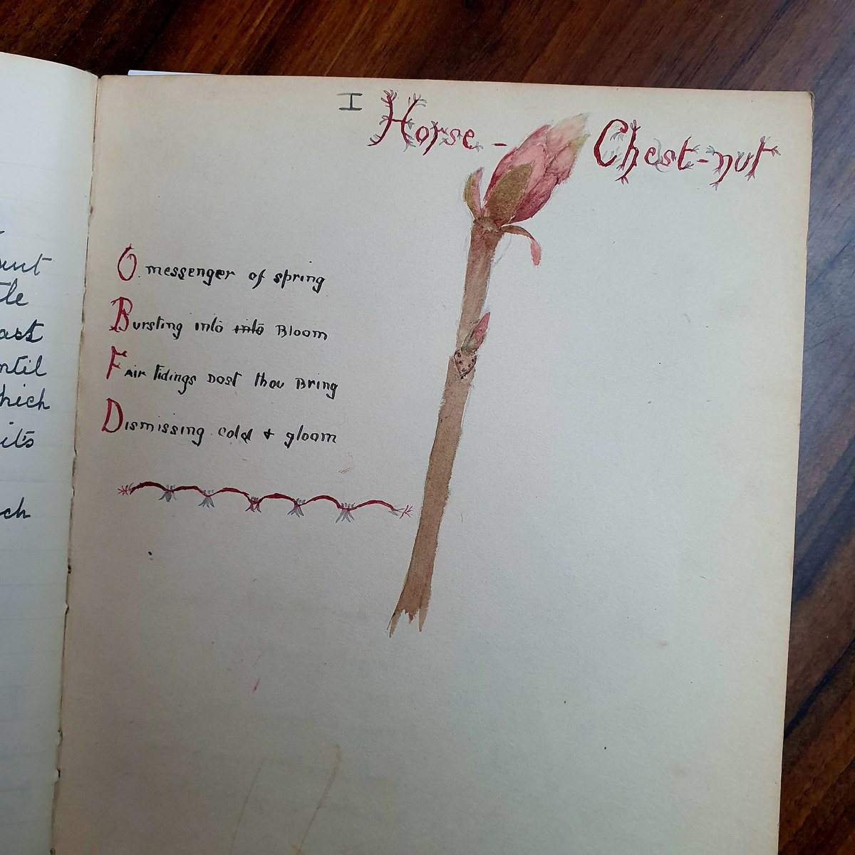 I am completely charmed by this school child's Nature Notebook. It ...