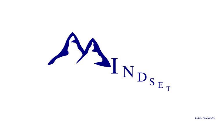 MINDSET powerfully drives your success.

20 VISUALS clearly showing your path…