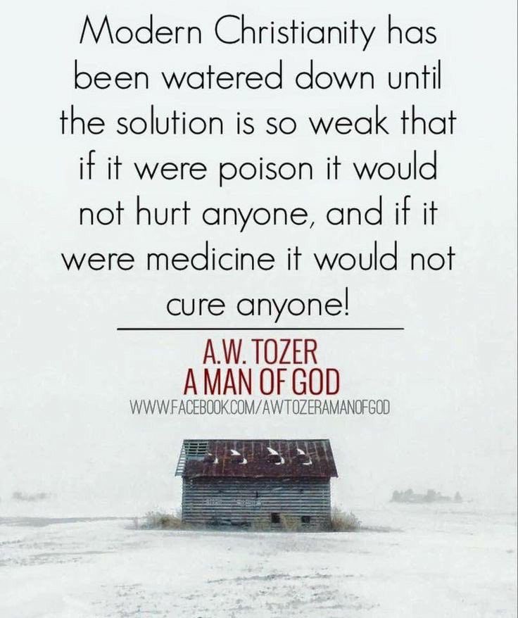 theBibleBabbler's tweet photo. Tozer 🔥 https://t.co/NlUfTUR6NZ
