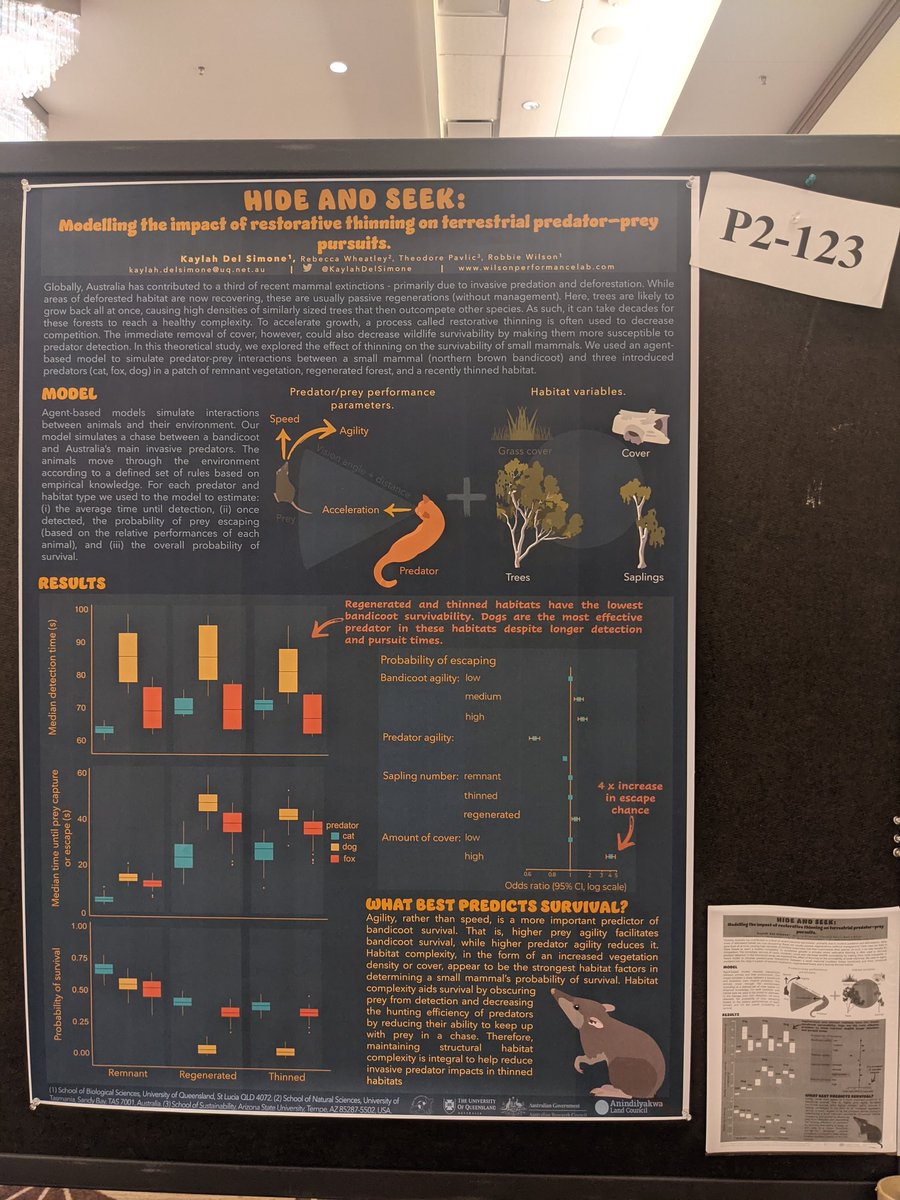 Kaylah Del Simone tweet media