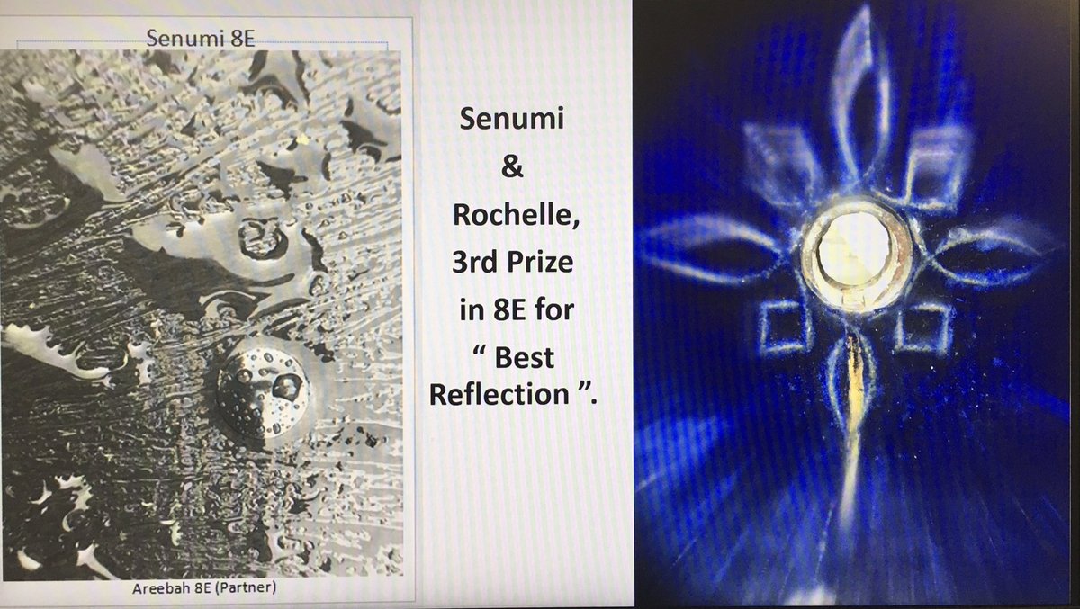 Thank you 8E for your great submissions for the art competition.